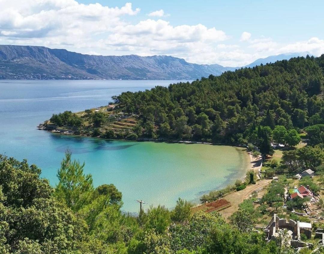 Apartments4You Supetar-The Best And Most Popular Apartments For Discovering The Island - Free Parking - 200 Meters From The Beach Eksteriør bilde